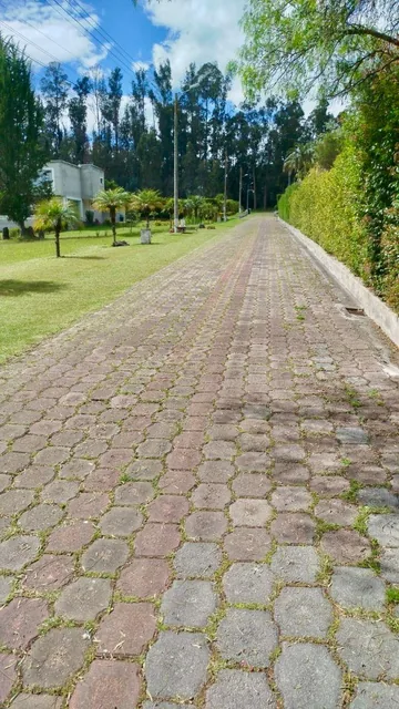 Venta Tumbaco La Morita Terreno Plano en Conjunto de 8 Casas — imagen 2