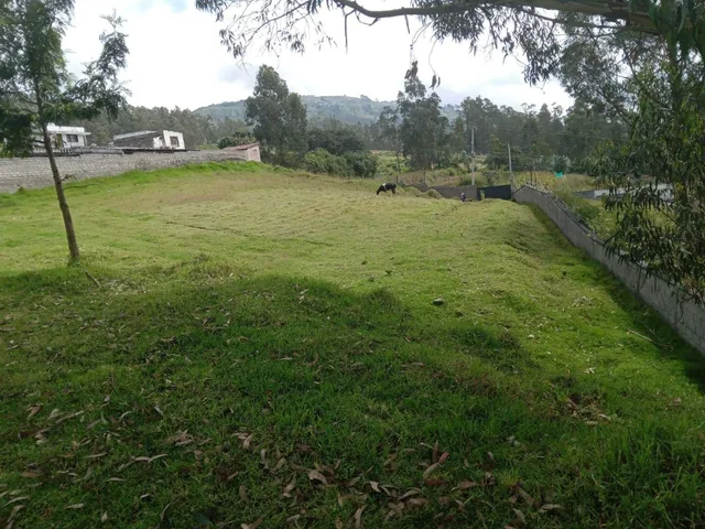 Terreno en Venta, Conocoto, Sector Ontaneda Alto, Valle de Los Chillos — imagen 4