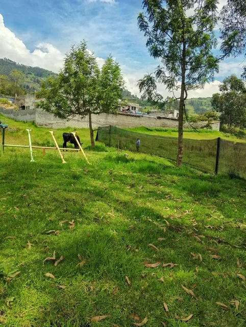 Terreno en Venta, Conocoto, Sector Ontaneda Alto, Valle de Los Chillos — imagen 2