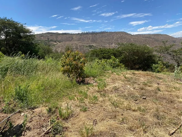 Guayllabamba Terreno 14.300 m² de Venta — imagen 2