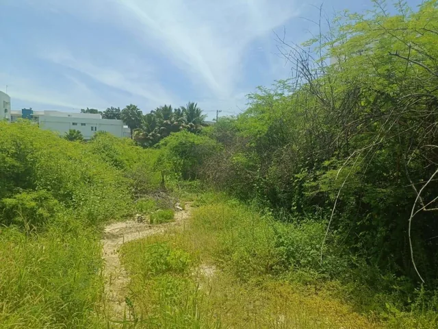 Terreno en Venta Punta Blanca Entrada 5 - a Marín — imagen 2