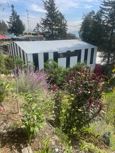 Terreno con galpones — imagen 2